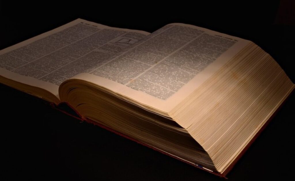 leer-un-libro-al-día