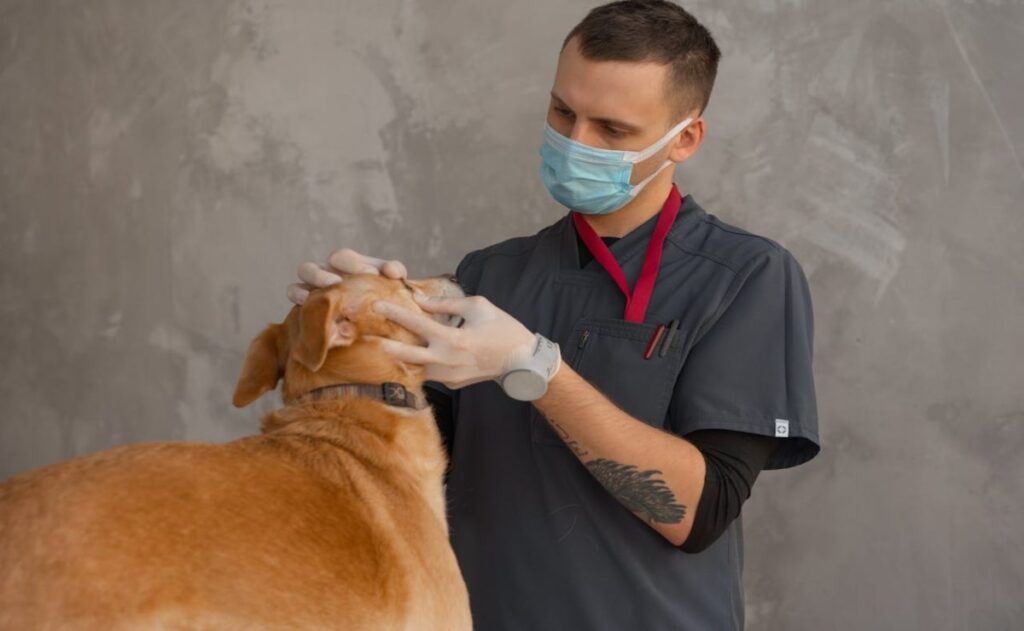 Día Mundial del Veterinario