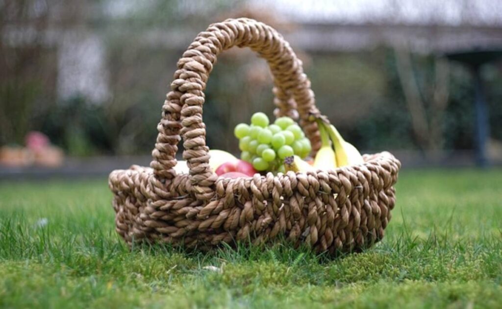  picnic-nocturno