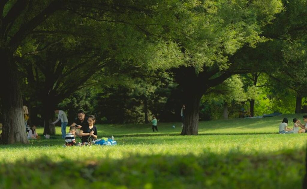 ¿Sin plan para Semana Santa? Lánzate al picnic nocturno en Chapultepec