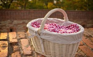 Lánzate a este picnic nocturno en Bosque de San Juan Aragón; fecha y horario