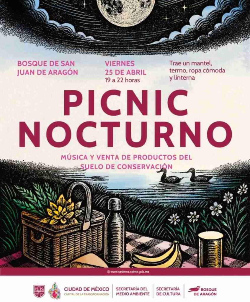 picnic-nocturno-Bosque-de-San-Juan-Aragón