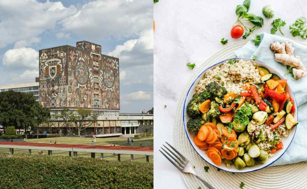 ¿Cómo funciona el programa de apoyo nutricional de la UNAM?