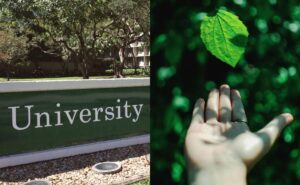 ¿Qué hacen las universidades mexicanas por el medio ambiente?