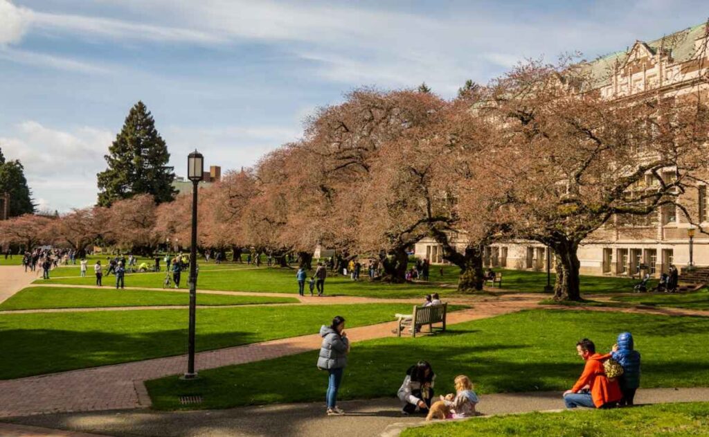 Trump suspende visas para estudiantes internacionales; revisará sus redes sociales 