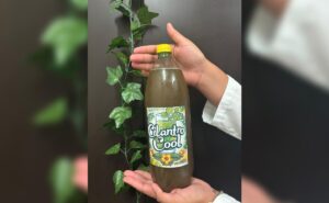 Cilantro Cool: sabores de nuestra tierra impulsados por la ciencia