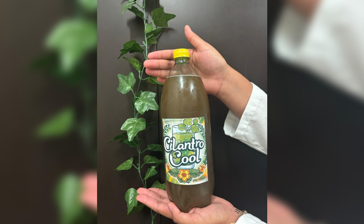 Cilantro Cool