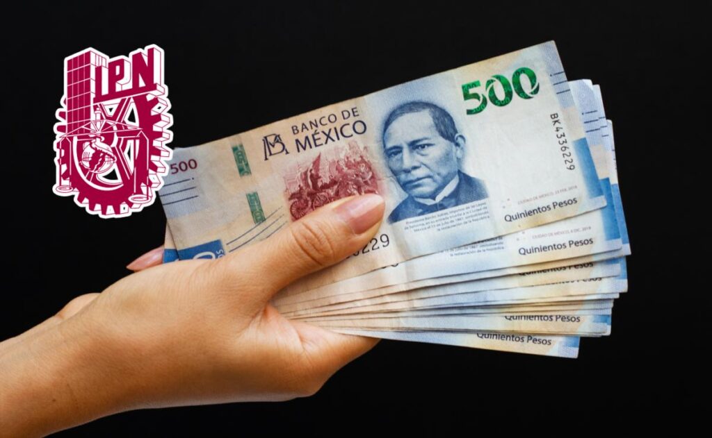 ¿Cómo pedir la beca del IPN si acabas de ingresar?