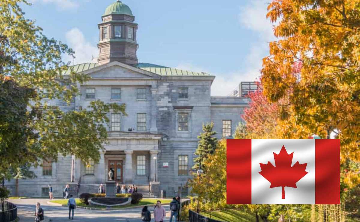 maestría-Canadá-beca-McCall-MacBain