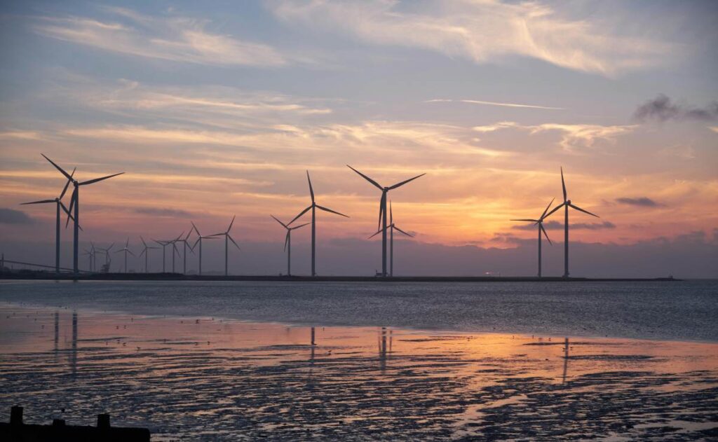 ¿Cuál es la universidad más sustentable del mundo?