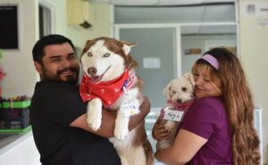 Universidad en México abre guardería canina; ¿cómo funciona?