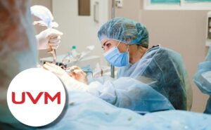¿Cuánto cuesta estudiar Medicina en la UVM, en 2025?