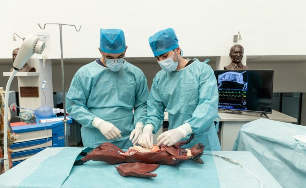 UAG-estrena-licenciatura-en-Medicina-Veterinaria-y-Zootecnia-con-enfoque-One-Health-1