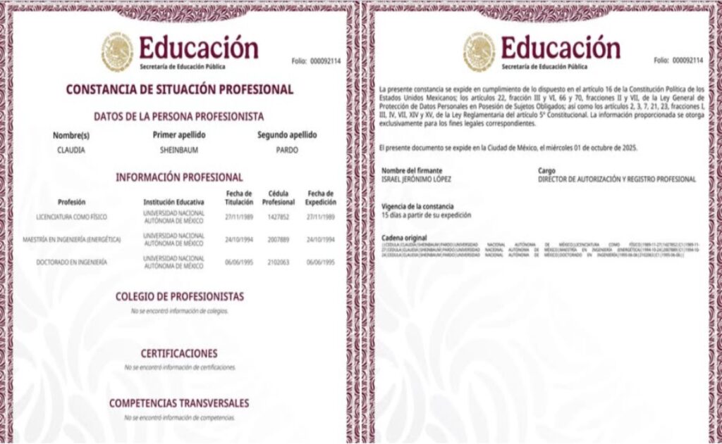 SEP-constancia-de-situación-profesional