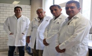 UAM: investigadores logran la clonación de semental ovino