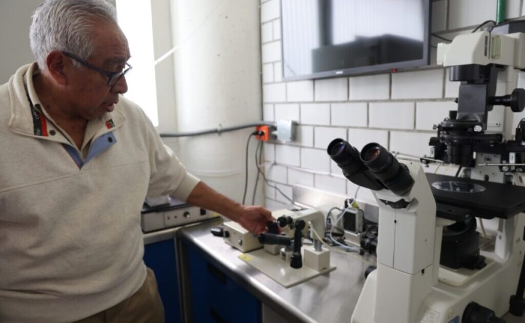 UAM-investigadores-logran-clonación-de-borrego-3