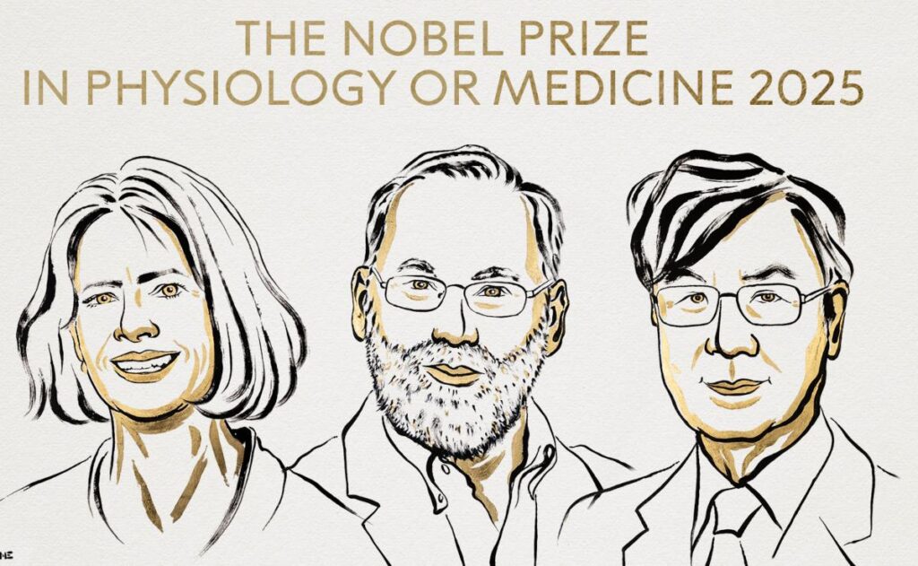 ¿Qué estudiaron los ganadores del Nobel de Medicina 2025?