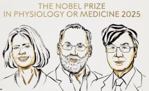 ¿Qué estudiaron los ganadores del Nobel de Medicina 2025?