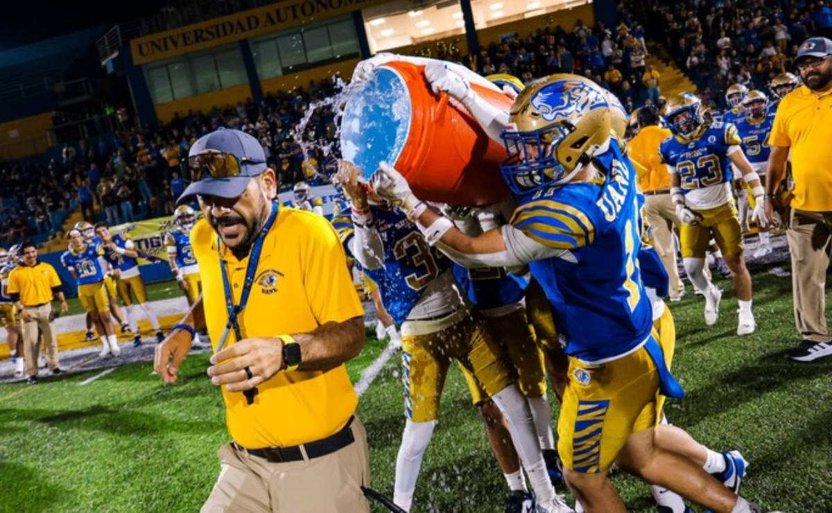 auntenticos-tigres-titulos-onefa-2 (1)