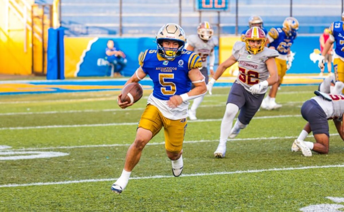 auntenticos-tigres-titulos-onefa-2