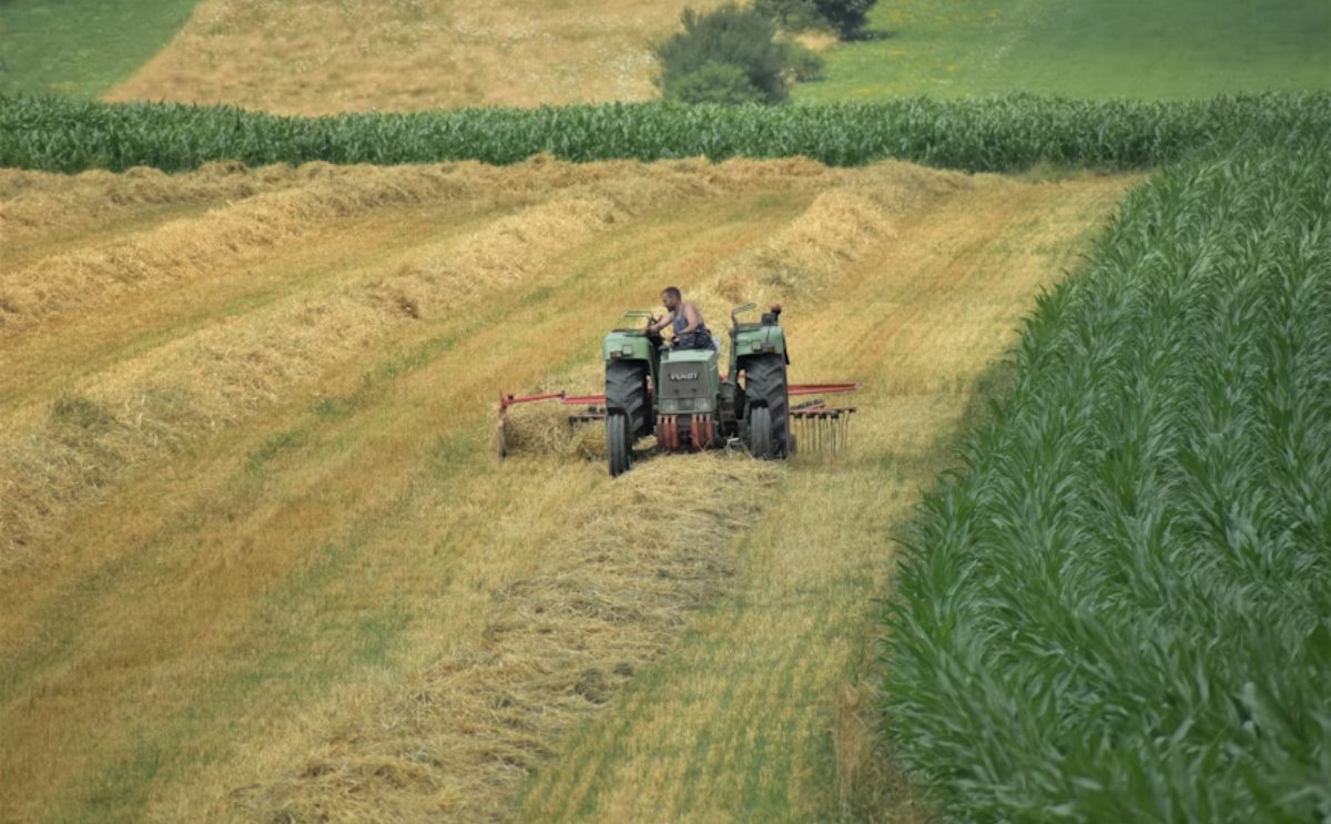 Carreras del futuro: así pueden los jóvenes trabajar en el nuevo campo mexicano
