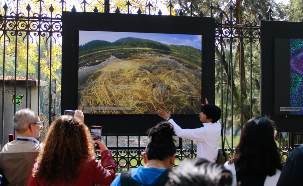 fotografia-cientifica-unam-exposicion-chapultepec-3