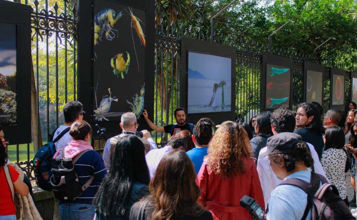 fotografia-cientifica-unam-exposicion-chapultepec-4