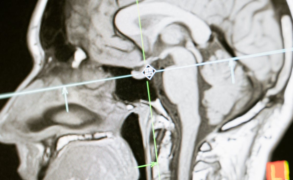 unam-explica-por-que-asociamos-la-navidad-con-felicidad-y-nostalgia-3