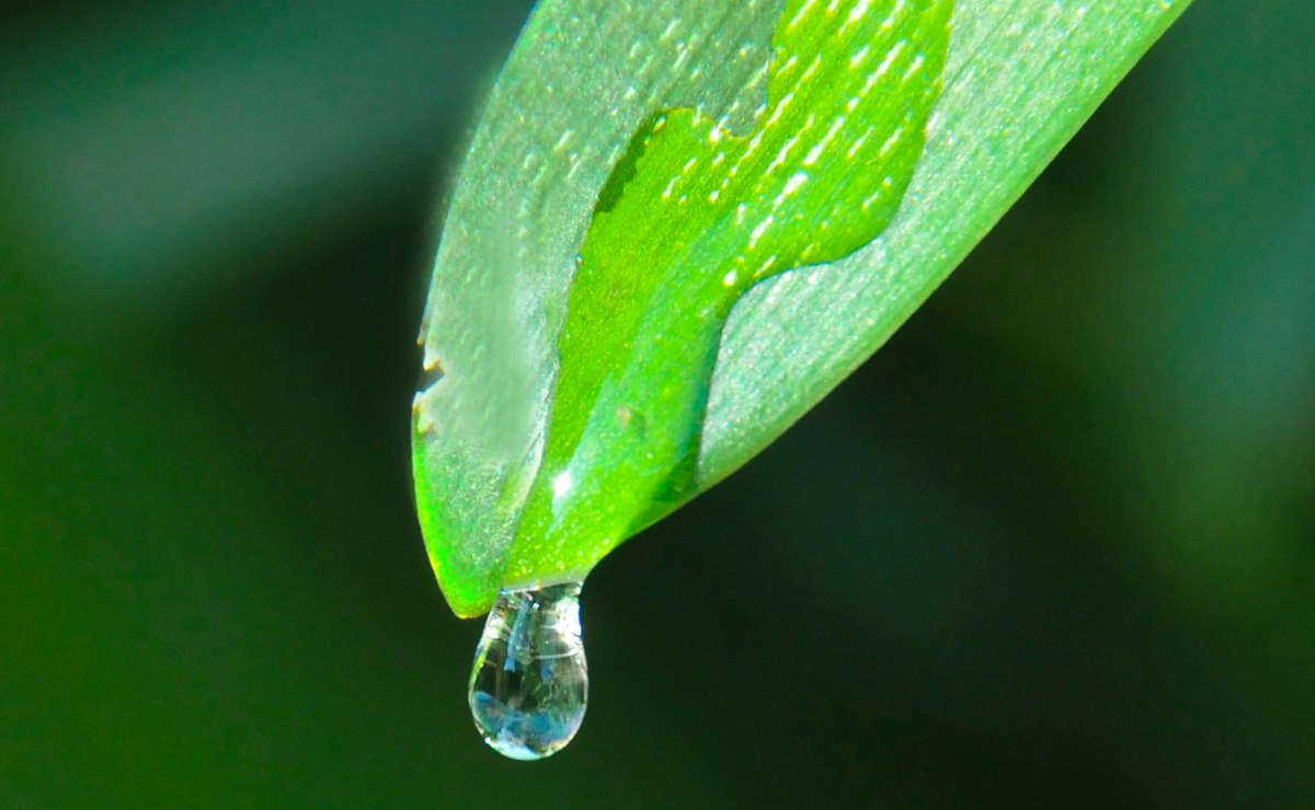 quieres-viajar-a-suecia-participa-en-el-premio-nacional-juvenil-del-agua-2026