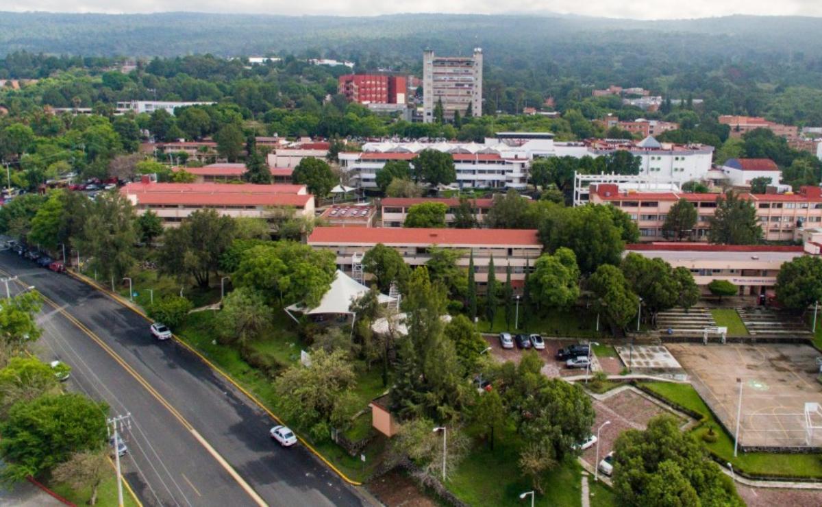 uaem-cuales-son-las-nuevas-licenciaturas-a-su-convocatoria-de-admision-2026-2