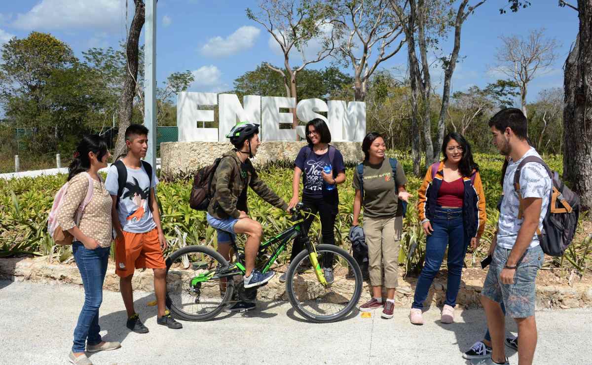 unam-cuales-son-las-enes-presentes-en-mexico-y-que-carreras-ofrecen