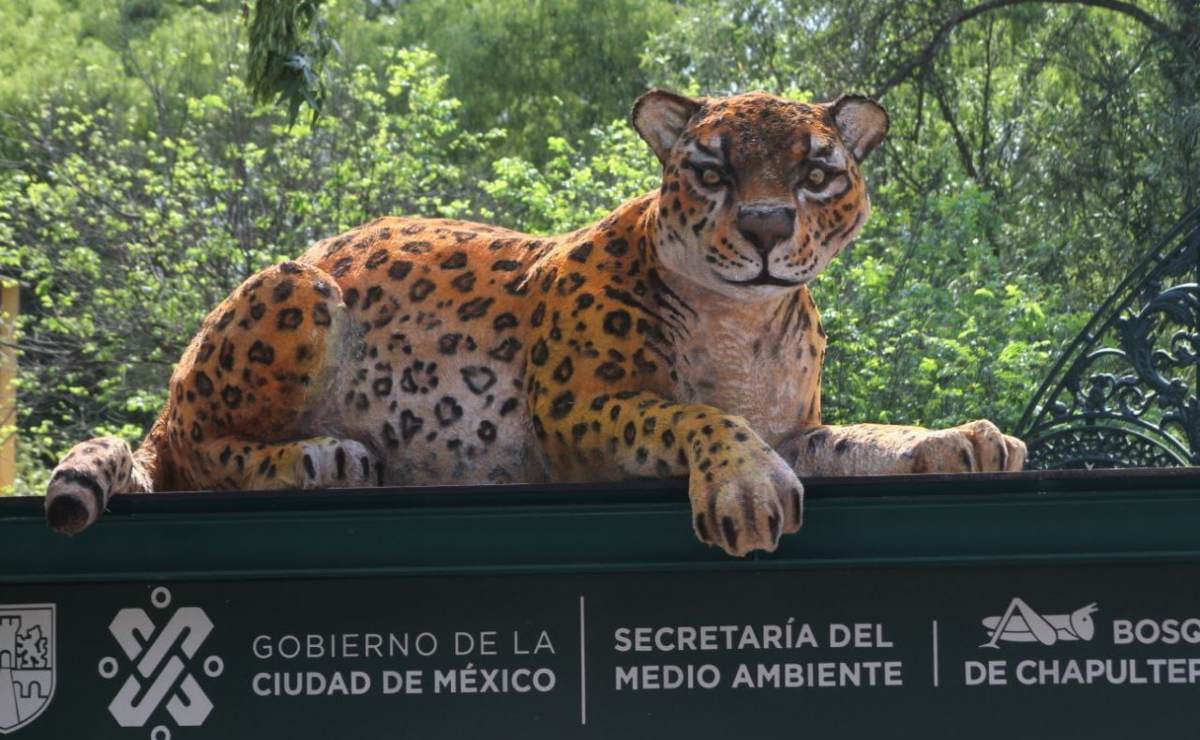 5-lugares-para-tener-una-date-con-tu-pareja-o-amigos-en-san-valentin