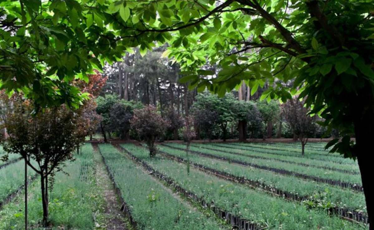 5-lugares-para-tener-una-date-con-tu-pareja-o-amigos-en-san-valentin