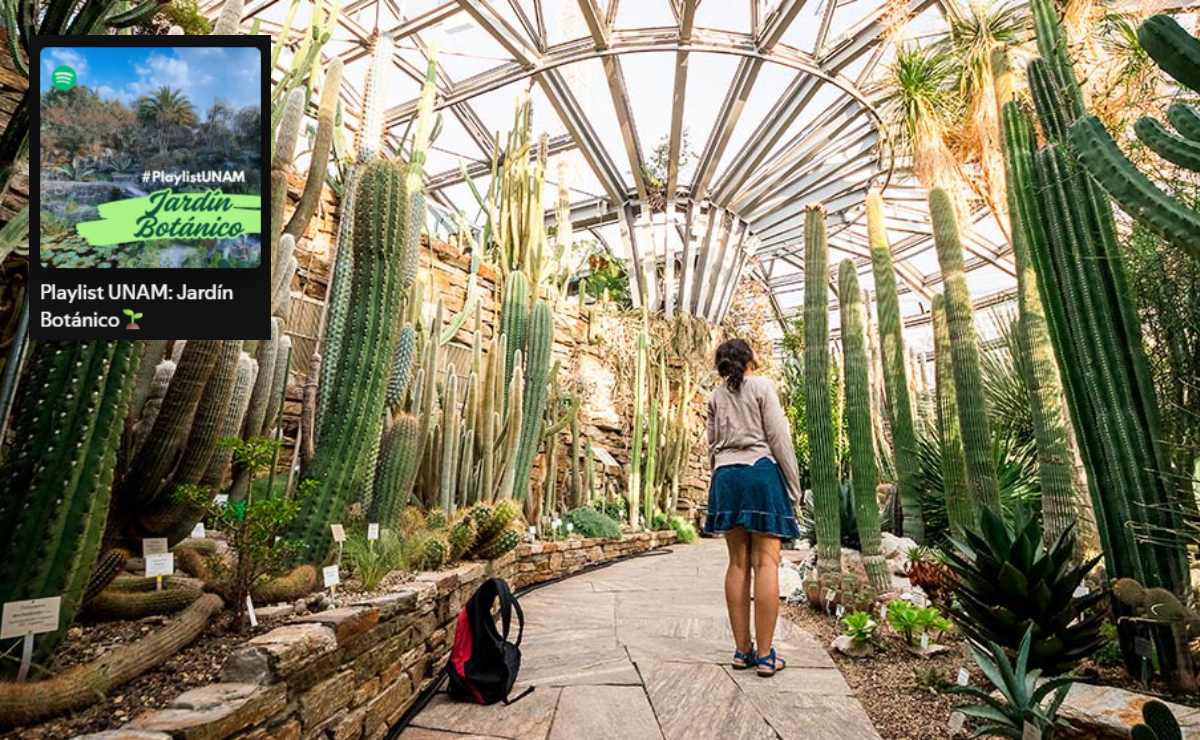 la-unam-llega-a-spotify-que-recomendaciones-musicales-brinda-la-universidad-1
