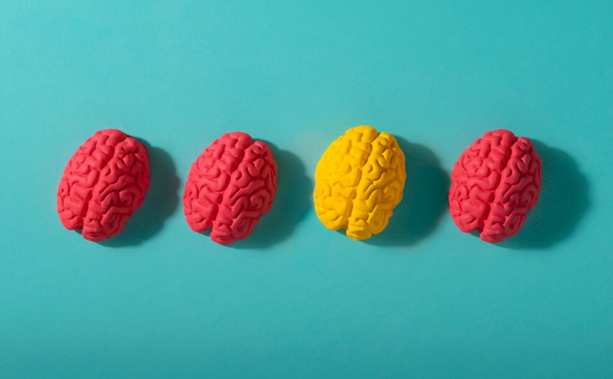 Neurodiversidad en la educación: un modelo no funciona para todos