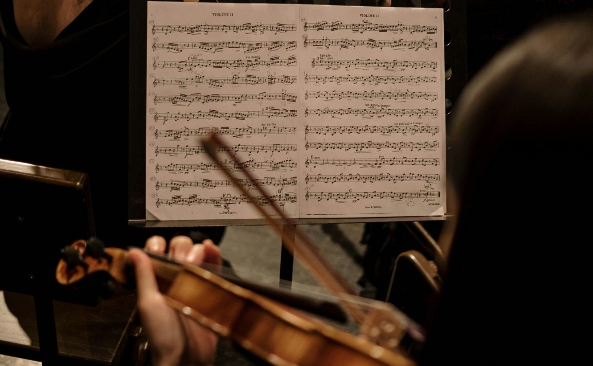 cuales-son-los-requisitos-para-ser-parte-de-la-orquesta-escuela-carlos-chavez