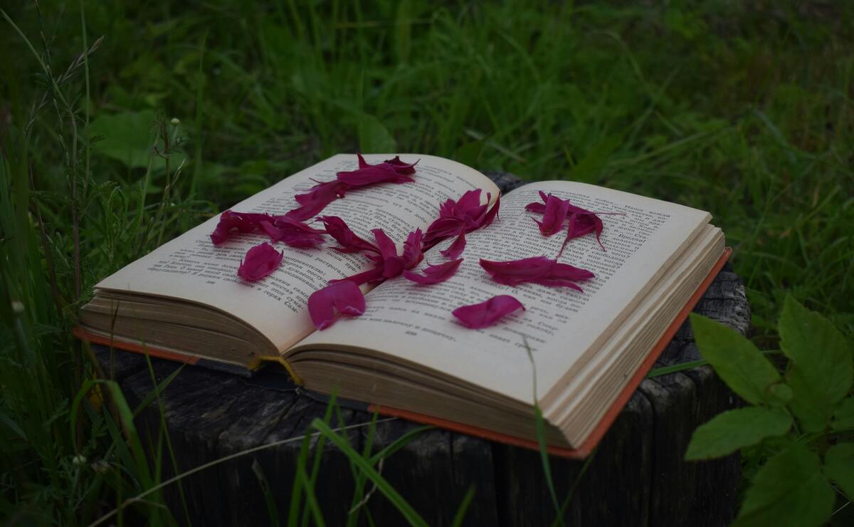 ¿Escribes poesía? Participa en esta convocatoria de la UNAM
