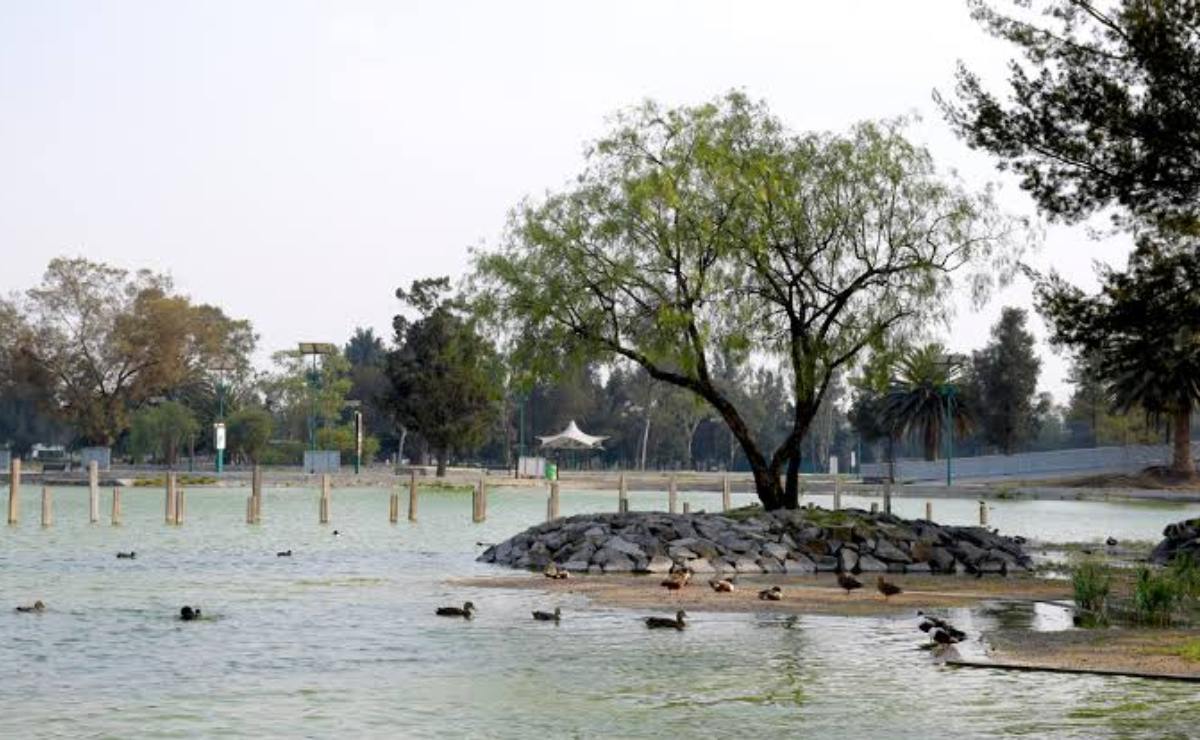 5-parques-de-la-cdmx-para-hacer-picnic-con-tus-amigos