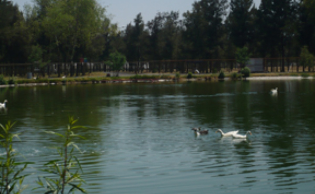 5-parques-de-la-cdmx-para-hacer-picnic-con-tus-amigos