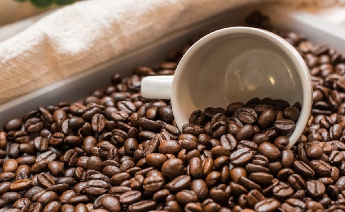 La ciencia detrás de una taza de café: mucho más que una bebida