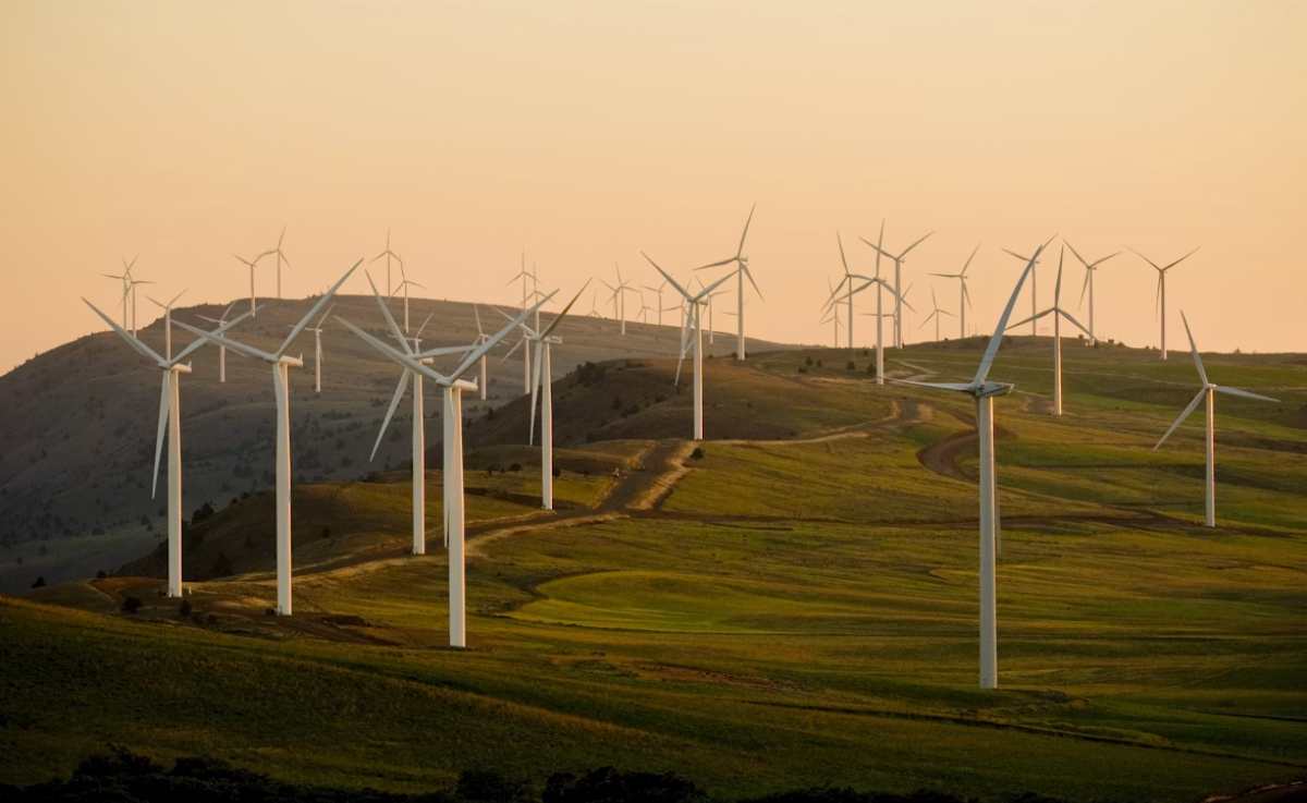 México tiene viento y sol de sobra. ¿Por qué no alcanza?