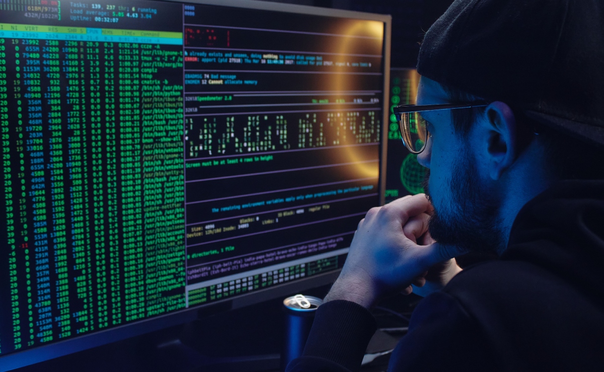 Ciberseguridad: profesión en auge que gana espacio en las aulas. Foto: Pexels