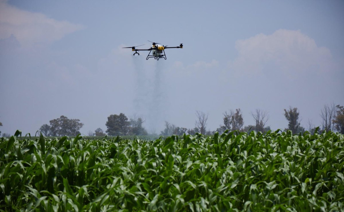 CAETEC: estudiantes impulsan el futuro de la agricultura con IA y drones