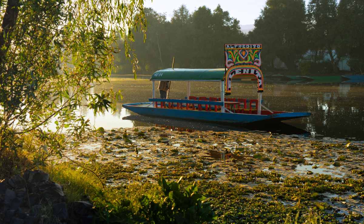 es-cine-la-unam-comparte-en-linea-un-documental-premiado-sobre-la-conservacion-de-xochimilco