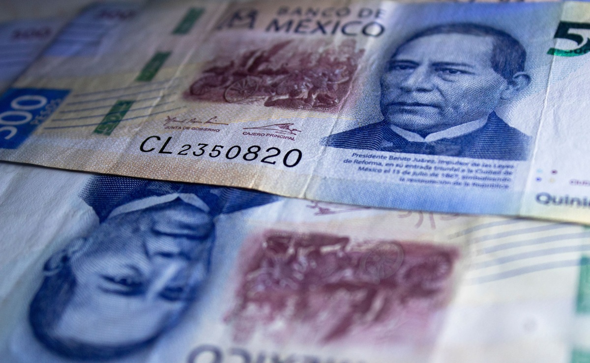Jóvenes Construyendo el Futuro: cómo inscribirse al programa en agosto