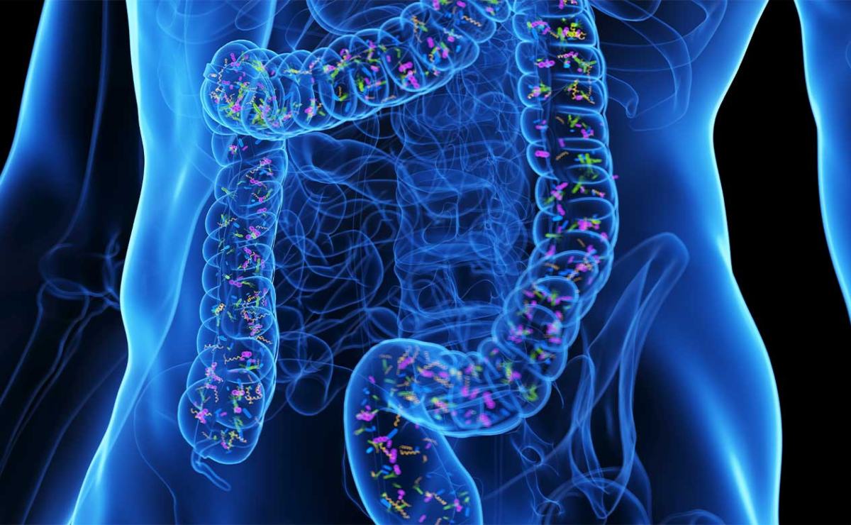 por-que-es-importante-cuidar-tu-microbiota-esto-es-lo-que-dice-una-experta-de-la-unam