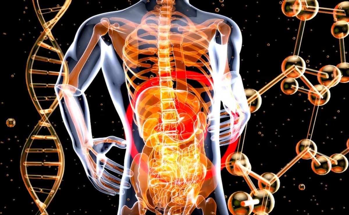 El secreto para sentirte mejor podría estar en tu intestino