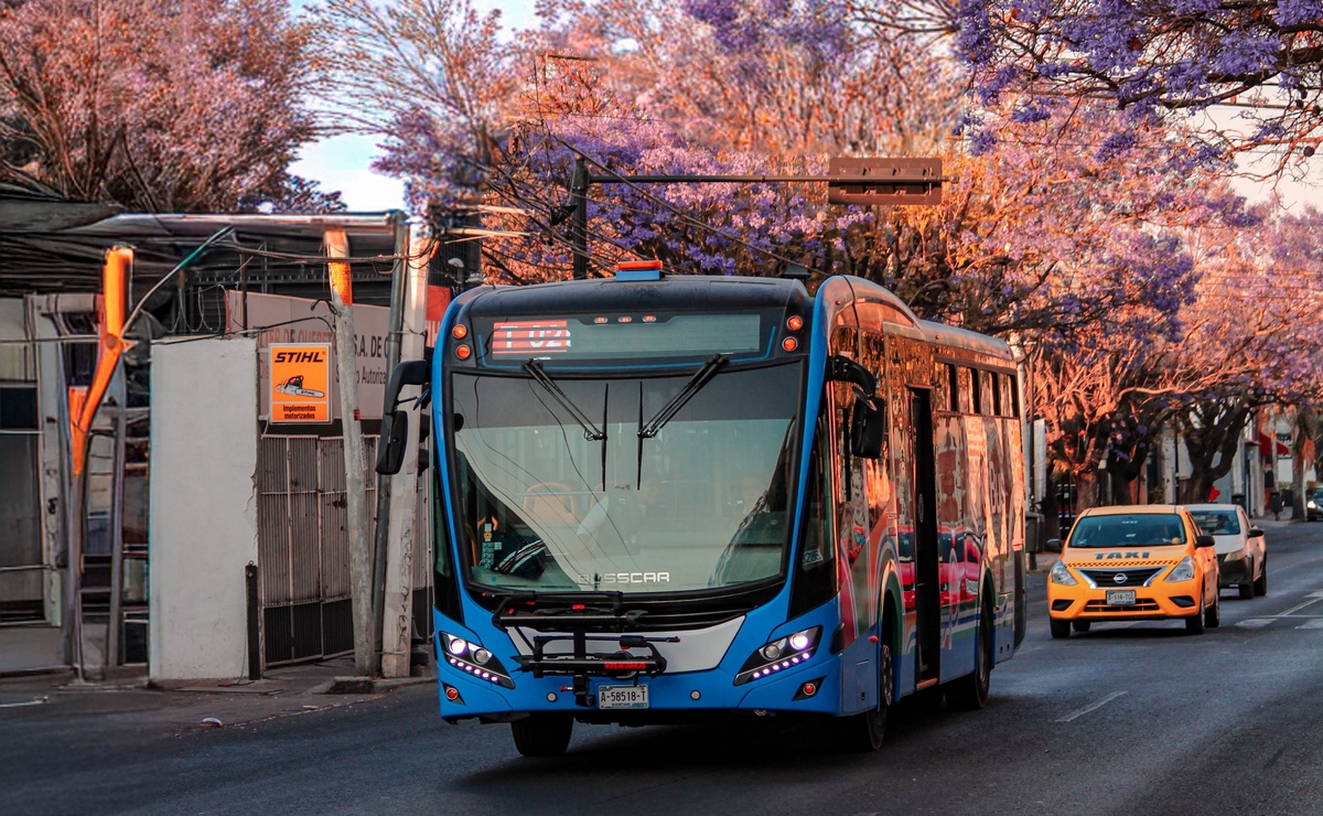 ¿Eres universitario? Así puedes obtener la beca "Transporte y más" 2026