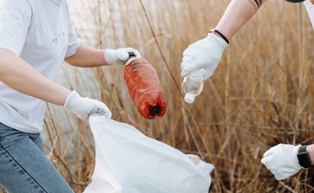 La ciencia y la tecnología buscan transformar el reciclaje plástico para reducir la contaminación y construir un futuro sostenible. Foto: Pexels