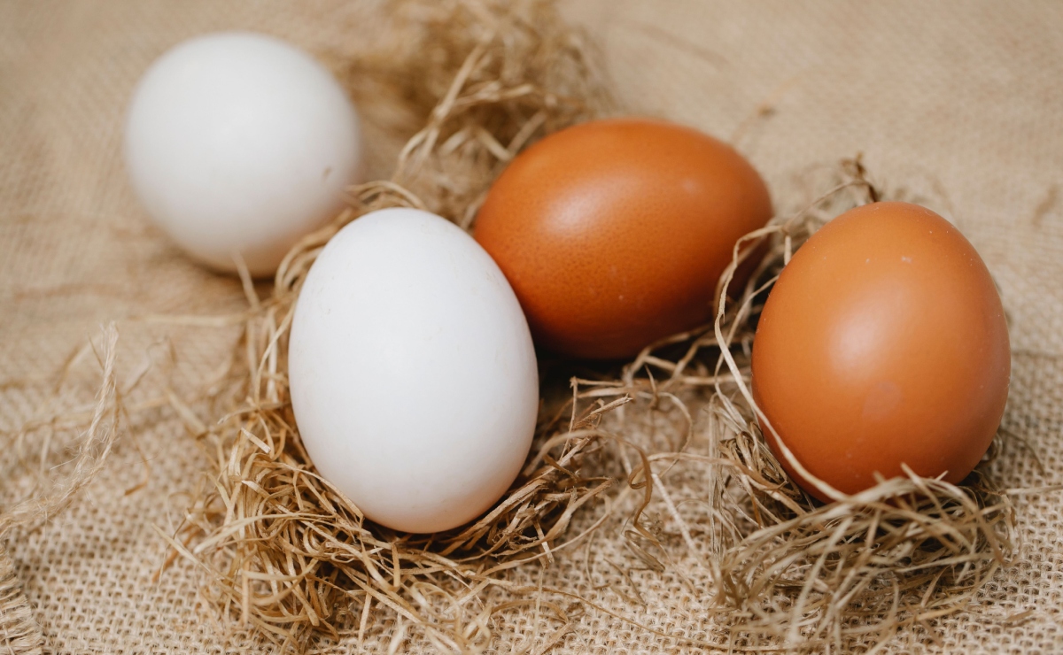 El huevo dejó atrás su fama de enemigo del corazón: la evidencia muestra que puede formar parte de una dieta saludable. Foto: Pexels
